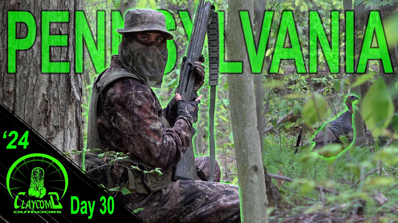 One reason to come back to a gobbler - BIG WOODS turkey hunting