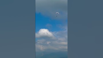 Paragliding birds are back in bir billing #birbillingparagliding #birbiling #paragliding