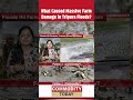 What Caused Massive Farm Damage in Tripura Floods? #tripura #shorts