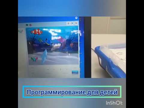 Программирование для детей Scratch