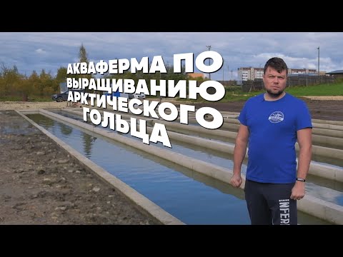 Акваферма по Выращиванию Арктического гольца