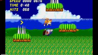 Hedgehog Abuse Simulator rom hack