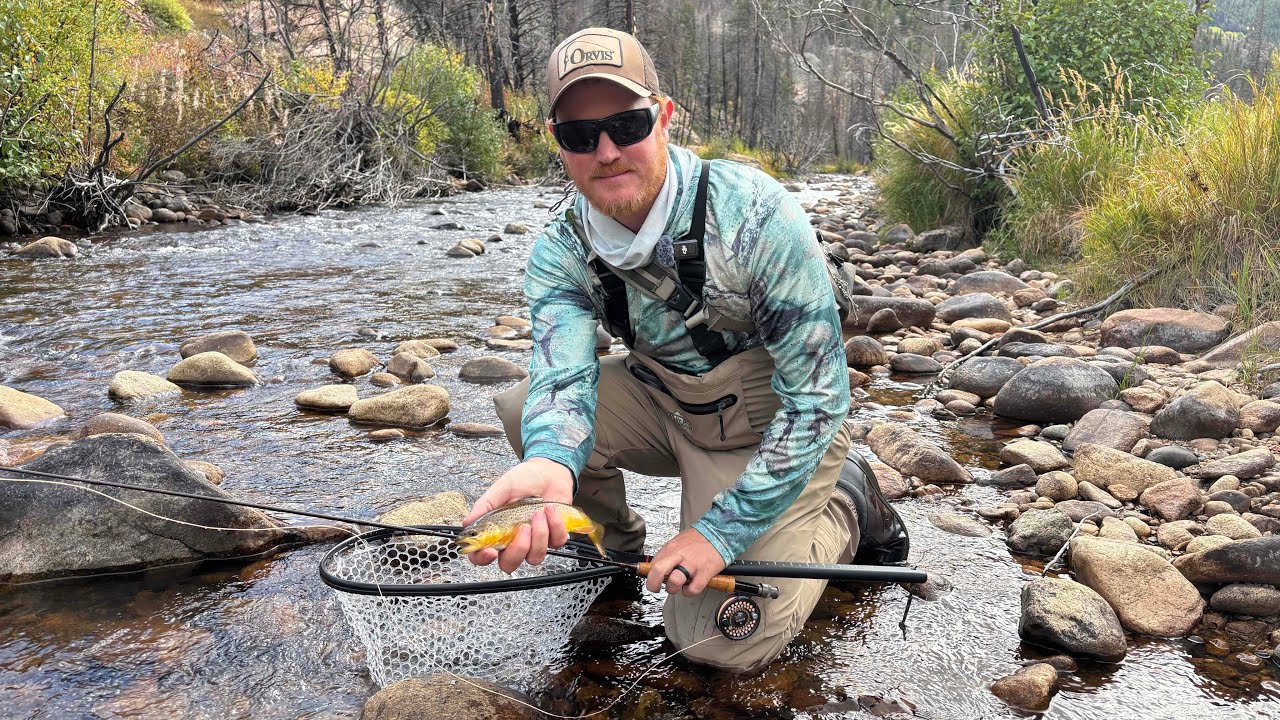 Ловля рыбы нахлыстом в Национальном парке Роки-Маунтин!