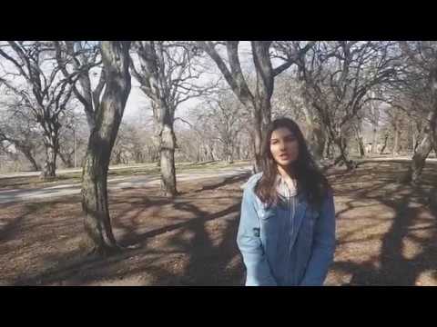 ნინი ალადაშვილი - “ახალგაზრდული საბჭოს“ შესახებ