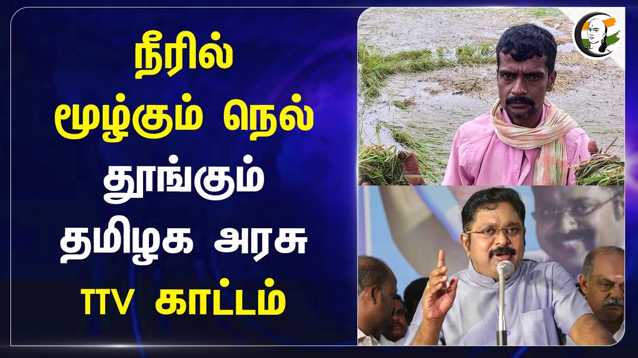 நீரில் மூழ்கும் நெல்.. தூங்கும் TN Govt.. TTV காட்டம் | Delta | Farmers