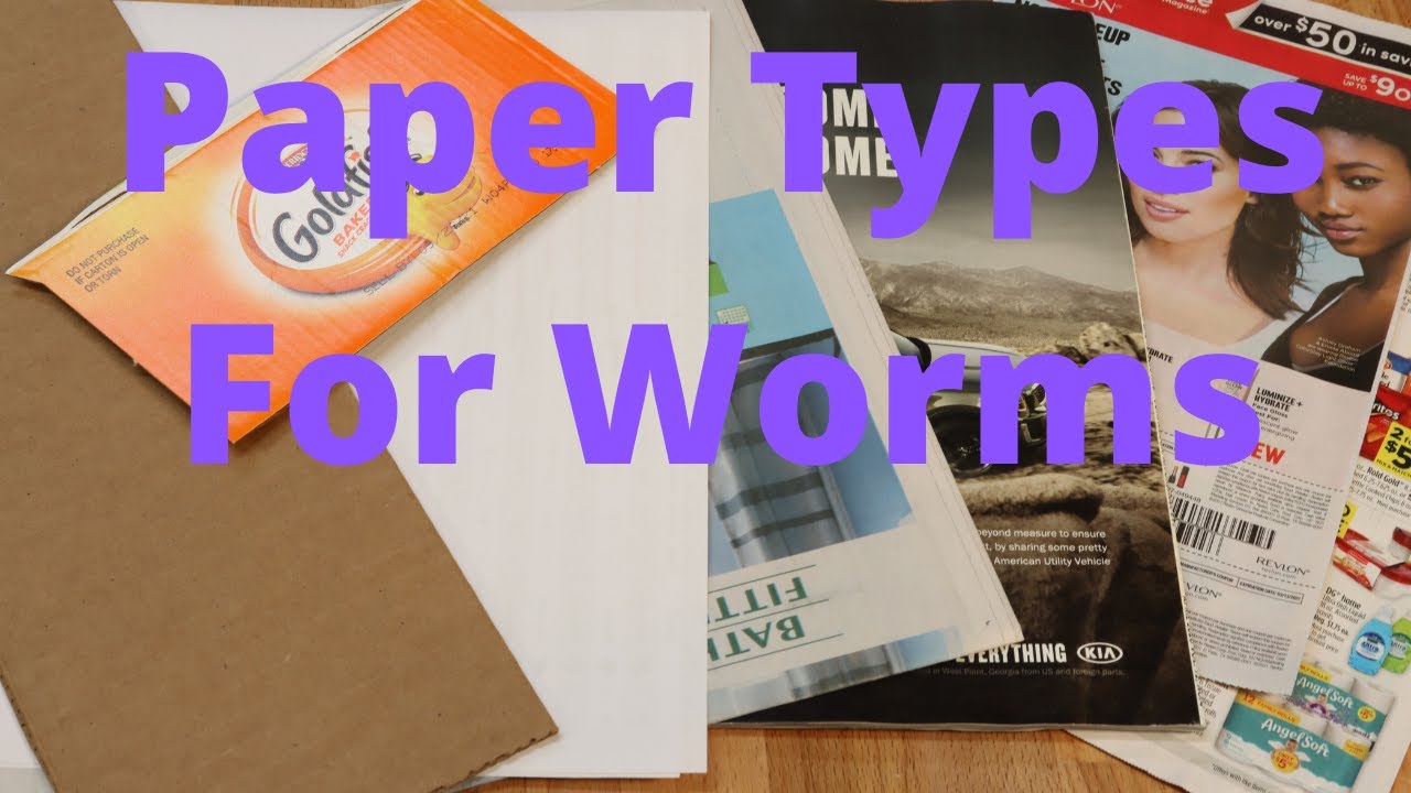 Worm Bedding Which Paper to Use! Corrugated, Office Paper, Magazines