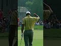 Tiger MAGIC! 🪄
