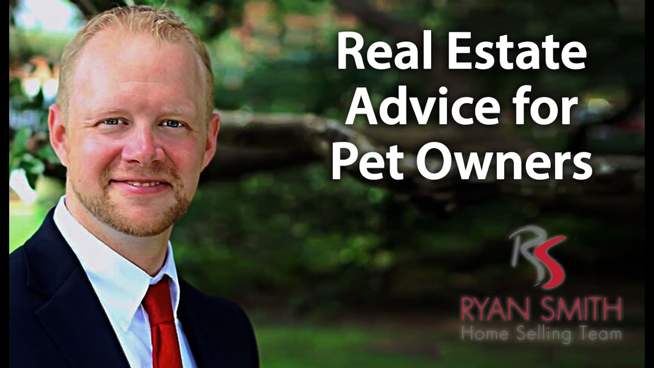 Temple Real Estate Agent Real estate advice for pet owners YouTube