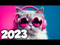 A melhor musica eletronica 2023  msicas eletrnicas mais tocadas  alok tiesto  david guetta