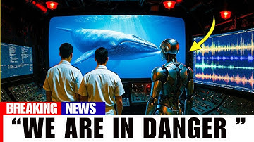 AI Just Decoded Language of Whales! What They’re Saying Will Shock You