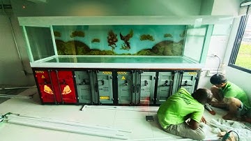 Ton ต้นTKK - งานระบบ Overflow ตู้ปลา 3 เมตรชั้น 2 กรองดรัมฟิลเตอร์ชั้นล่าง Set 1