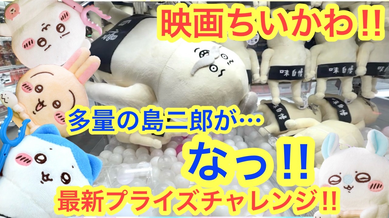 Chiikawa] Shimajiro BIG Plush! Chiikawa The Movie: The Secret of