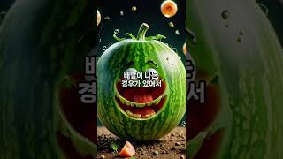 참외 씨에는 독이 있어서 먹으면 배탈이 난다? 과연 진짜일까요? #참외 #성주참외 #건강정보