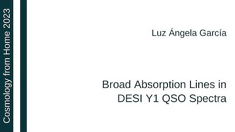 Luz Ángela García | Broad Absorption Lines in DESI Y1 QSO Spectra