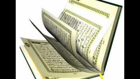 الشيخ عامر همام سورة الفاتحة