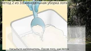 Как почистить кошачий туалет Как почистить кошачий туалет