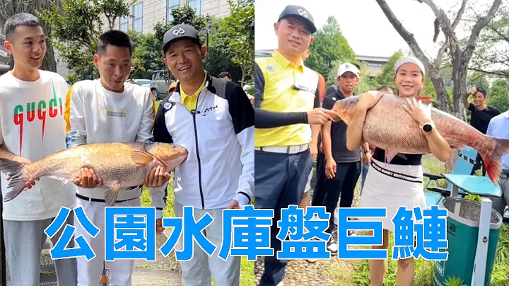 鄧剛水庫釣魚合集丨公園小水庫釣巨鰱，切線跑魚狀況不斷，老闆含淚掙了我300，還說希望我下次再來 - 天天要聞