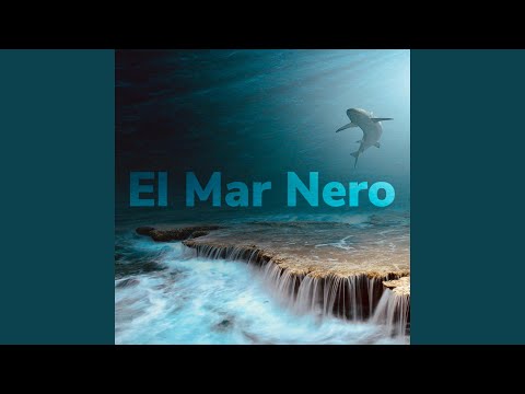 Video: Volo Al Mar Nero