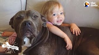 Senior Pittie And Her Human Siblings Are BFFs  NELLIE | The Dodo Pittie Nation