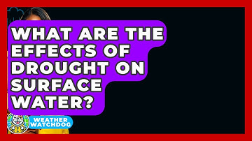 What Are The Effects Of Drought On Surface Water? - Weather Watchdog