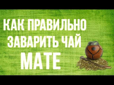 Как правильно заварить чай мате