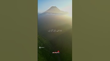 فلما نسوا ما ذكروا به تلاوة للشيخ محمود علي البنا من سورة الأنعام #قران كريم #فلسطين #المنشاوي