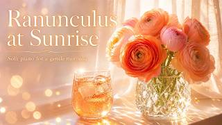 Ranunculus Blooms at Sunrise | Soft Piano for a Quiet Morning