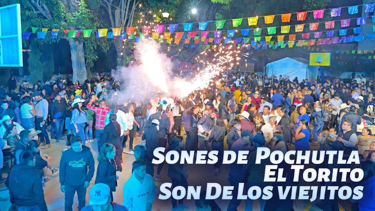 Sones de Pochutla / El Torito /Son de Los Viejitos, Guitarras De La Sierra, en San Pedro Teozacoalco