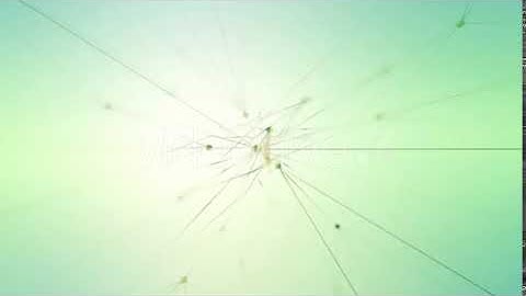 Abstract Plexus Themed Logo Reveal | After Effects template