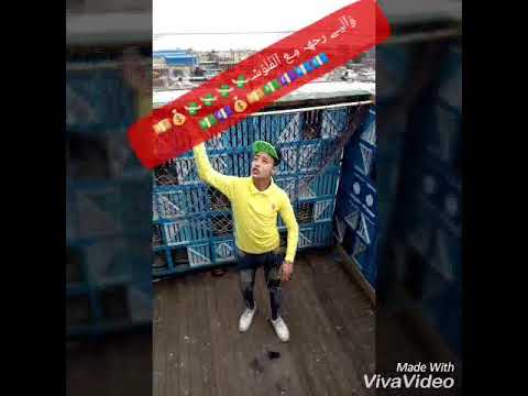 اجمد حاله واتساب صحابي طارو طارو  