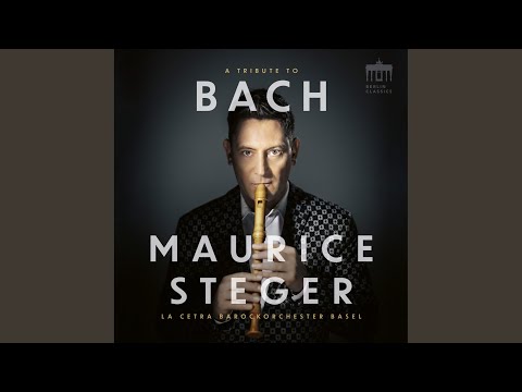 Concerto in D Major for recorder, strings & b.C., BWV 1053 (Arr. Sebastian Wienand) : III. Allegro