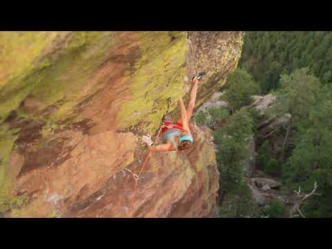 2. IN THE MIND of Sasha as she sends JOE EXOTIC, 5.14