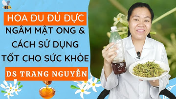 Hướng dẫn cách ngâm hoa đu đủ đực với mật ong tại nhà và cách sử dụng tốt nhất