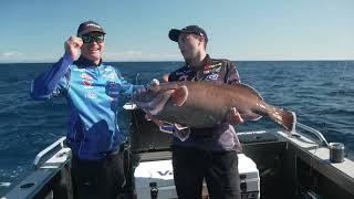 Fishing for MEGA Bar Cod and Kingfish!