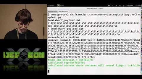 DEFCON 20: Dwarf Oriented Programming