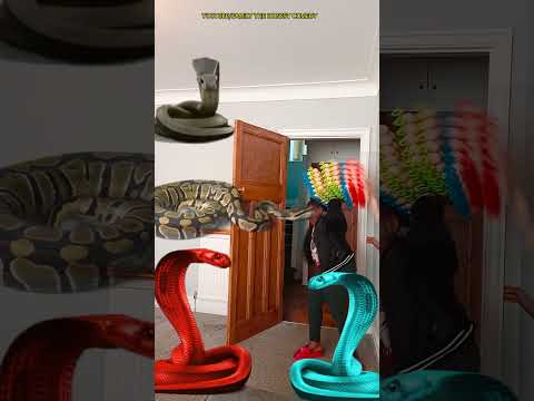 Animal funny video Anaconda snake python in my house in real life #vfx magic bhoot wala #shorts p7