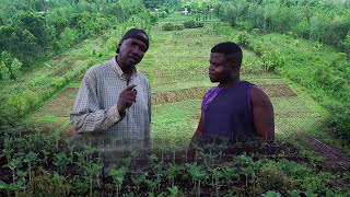 I Left America To Kenya Now Own 20 Acres Organic Farm