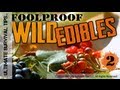 NEW! Foolproof Wild Edible Plants #2 - Easily ID Common Wild Plants that You Can Eat
