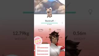 Rare 100 Iv Dusk Rockruff Hatched In Pokemon Go