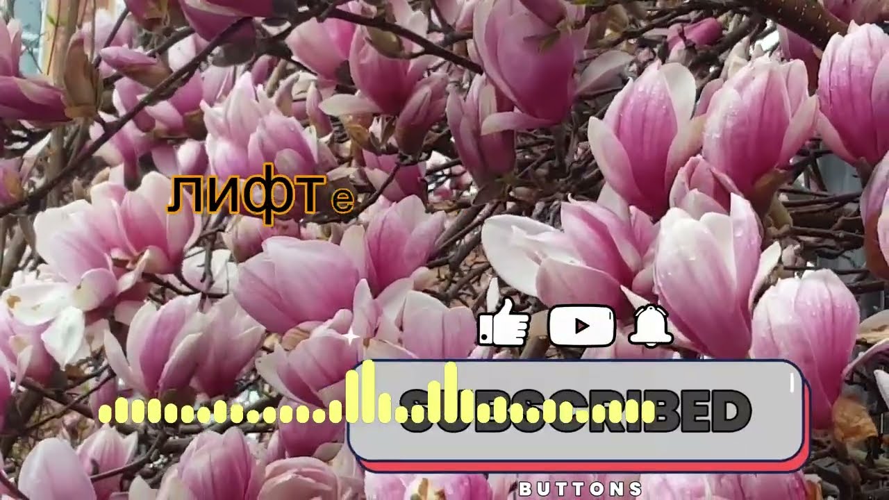 Сын моего соседа остался со мной в лифте — вы не поверите, что произошло!