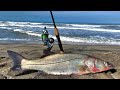 Pesca de RÓBALOS de PLAYA || pescando de orilla.