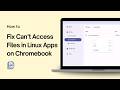 How to Fix Can’t Access Files in Linux Apps on Chromebook