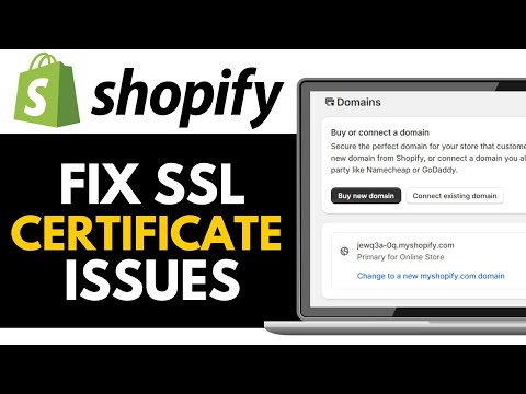 How to Fix SSL Certificate Issues in Shopify 2025 (EASILY)