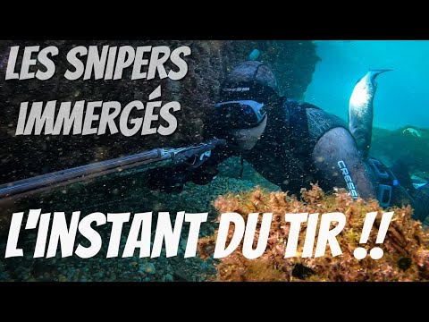 TUTORIAL: How to aim in spearfishing