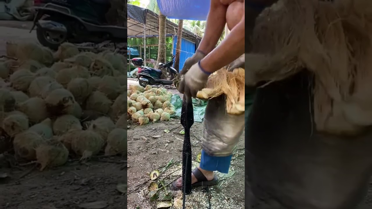 Coconut Peeling Hacks