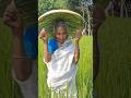 Handmade Palm Leaf Hat Making | Step by Step Full Process. 😱 #Amazing