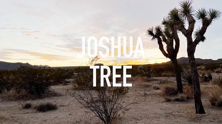 Joshua Tree National Park
