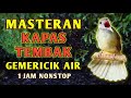 Masteran Suara Burung Kapas Tembak Gacor Dengan Suara Gemericik Air | TANPA IKLAN