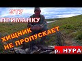 ЭТУ ПРИМАНКУ ХИЩНИК НЕ ПРОПУСКАЕТ. Два дня на реке НУРА.