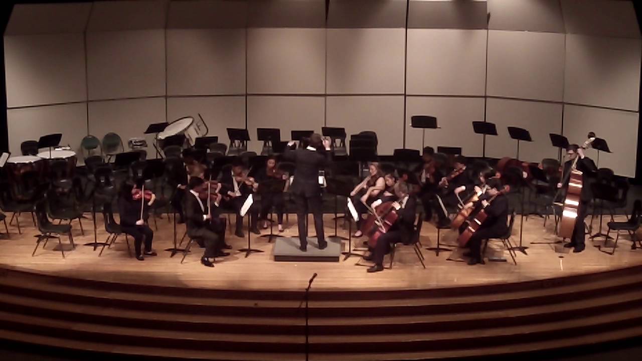 Spring Concert - Chamber Orchestra - 2016